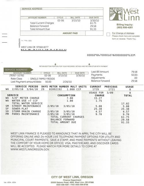visa authorization form