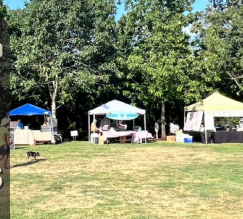 Vendors