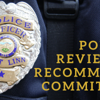 review and recommend committee image