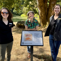 Margaux Meganck, author/illustrator of People Are Wild at the  StoryWalk with library staff