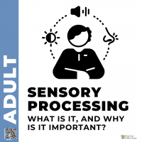 Sensory Processing:  What Is It, and Why Is It Important?