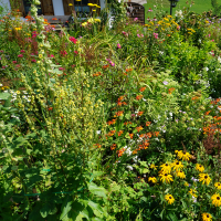 Photograph of a landscape to promote the program