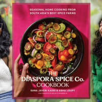 Photo to promote online author talk