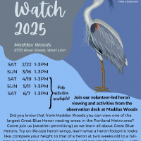 Heron Watch 2025