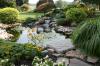 Small pond in a landscaped yard