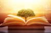 Picture of an open book with a tree growing from the middle