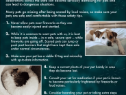 Infographic for pet safety