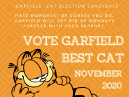 Garfield campaign poster
