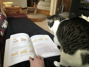 a cat sitting in front of an open book