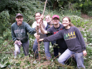 Volunteers