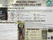 Tree City About Document 