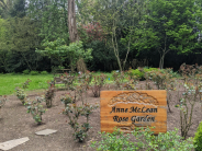 Anne McLean Rose Garden