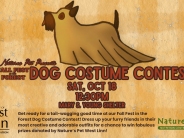dog Costume Contest 2025