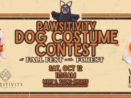 Costume contest header