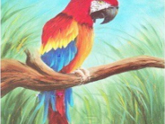 Mary's Macaw