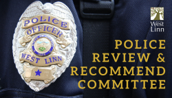 review and recommend committee image