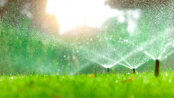 Give Your Irrigation System a Spring Check-Up