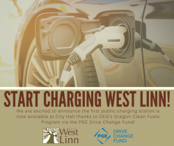 Car electric charging