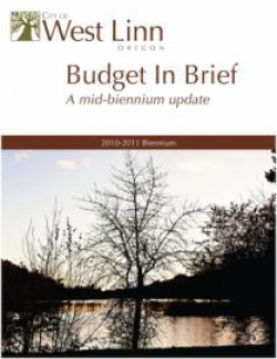 Budget Cover