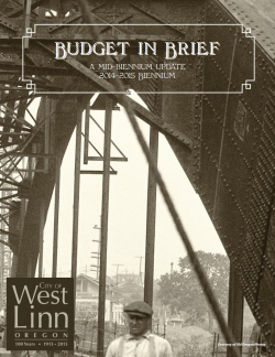 Budget In Brief