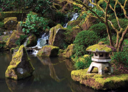 Japanese Garden