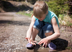 Nature Explorer