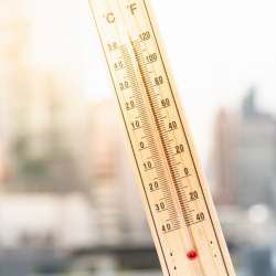 image of thermometer