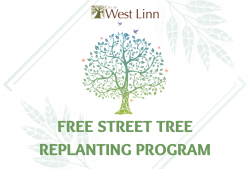 free street trees