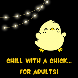 Chill with a chick...for adults! Baby chick on black background with string of lights.