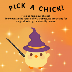 Pick A Chick! Help us name our chicks! To celebrate the return of WizardFest, we are asking for magical witchy or wizardly names