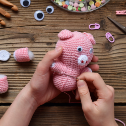 Program image featuring an amigurumi pig for amigurumi class.