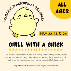 Chill With A Chick
