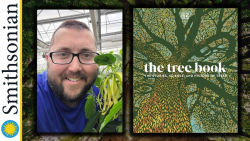 Image for online  author talk with Matthew Fleming