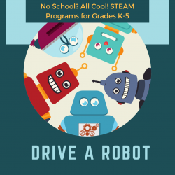 Drive A Robot 