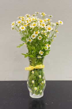 A photo of flowers in a vase