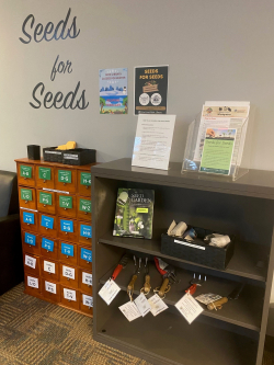 Picture of the seed library and adjoining bookshelf with handouts and garden tools for checkout
