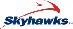 Skyhawks Logo