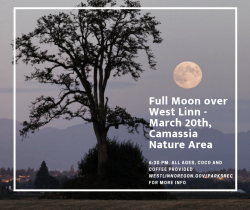 Full Mooon Photo and event infromation