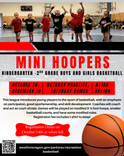2026 Mini Hoopers 