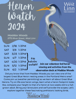 Heron Watch 2024
