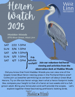 Heron Watch 2025