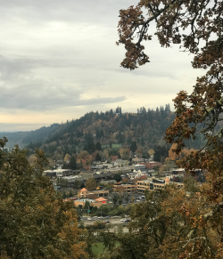 Main Street View