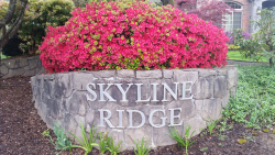 flower bed planted above a stone wall with name Skyline Ridge in metal lettering