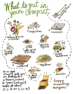 What to put in your compost info graphic