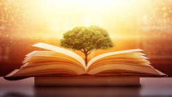 Picture of an open book with a tree growing from the middle