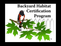 Backyard Habitat Certification Program logo