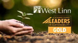 leader in sustainability gold