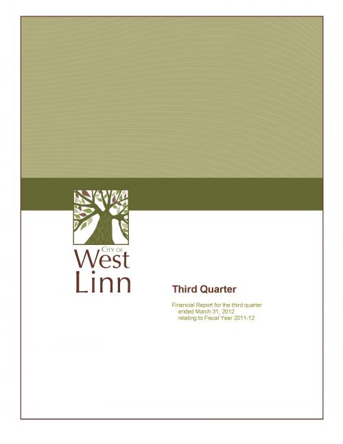 quarterly financial report for