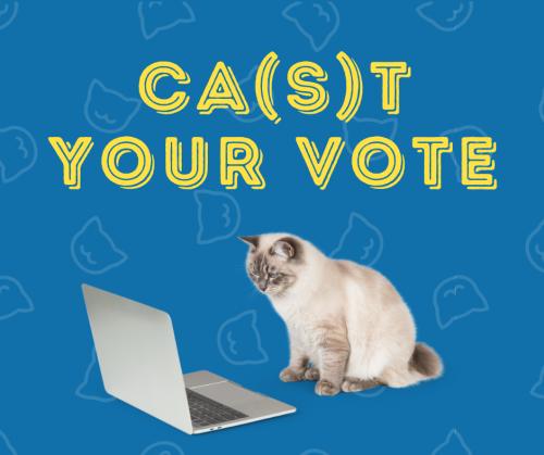 Round 1: Vote your favorite cat. Voting means commenting, not