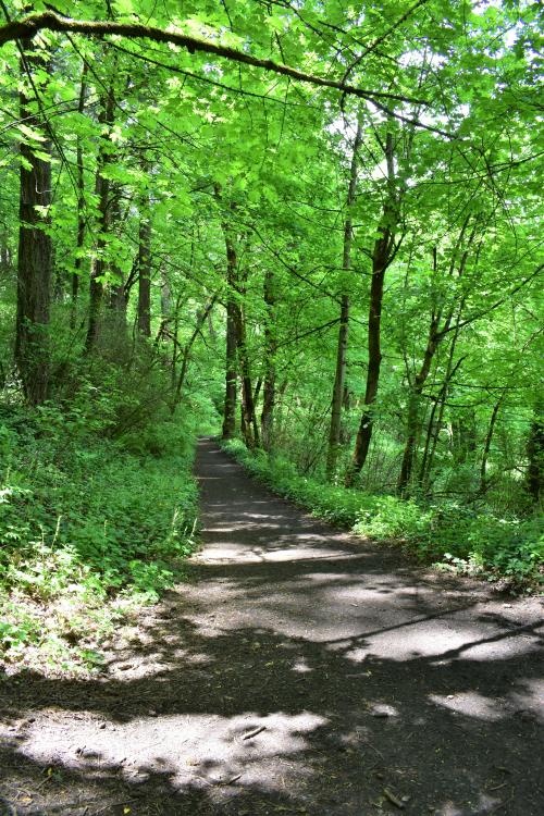 Burnside Park City of West Linn Oregon Official site